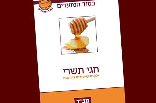 חדש בסדרת 