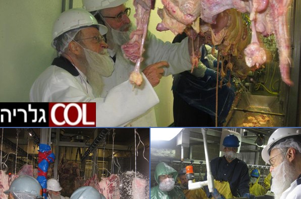 פוסטוויל: הרב אזדאבא בביקור במפעלי הבשר של רובשקין 
