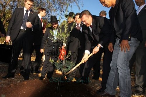 נשיא אוקראינה נטע עץ זית בחורשת האומות בירושלים 