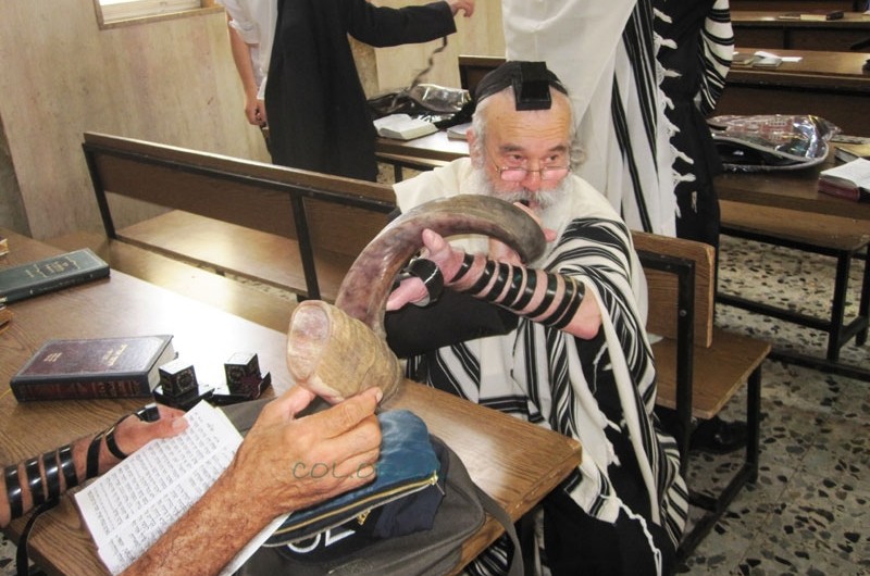 תמונת היום תמונת היום