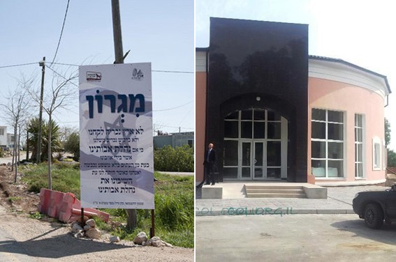 בין האדיטש למגרון ● פרופסור וייס במאמר ל-COL בין האדיטש למגרון ● פרופסור וייס במאמר ל-COL