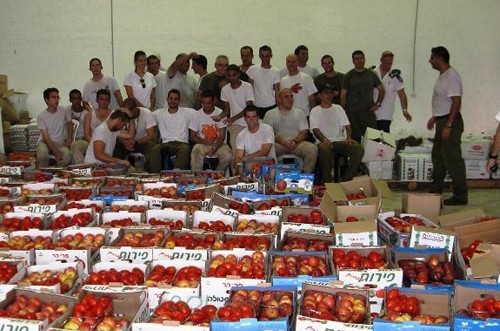 נתניה: חיילים ותלמידים התגייסו לארוז חבילות מזון לנזקקים 
