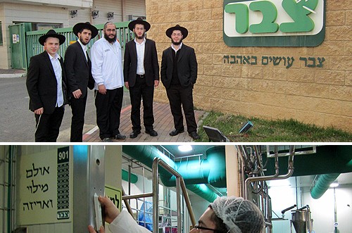 'מבצע מזוזה' במפעל הסלטים הגדול בישראל ● תמונות 