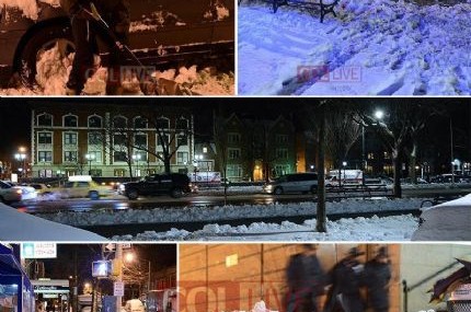 קראון הייטס: תושבי השכונה פינו את השלג הכבד ● גלריה