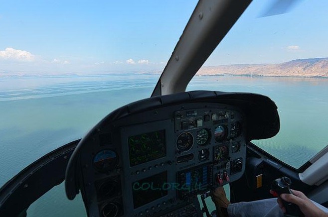 'תמים' מצרפת עובר ניתוח; נא לומר תהילים 