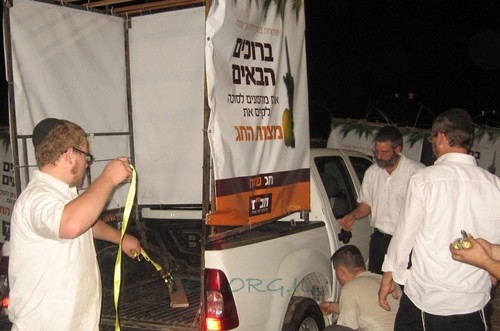 תמונת הלילה תמונת הלילה