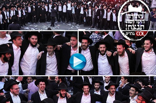 הריקוד הסוחף של ה'תמימים' חתם את העצרת ● בלעדי הריקוד הסוחף של ה'תמימים' חתם את העצרת ● בלעדי