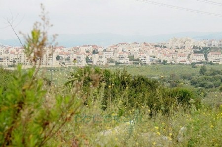 כמה דברים שכדאי שתדעו על רכישת דירה חדשה