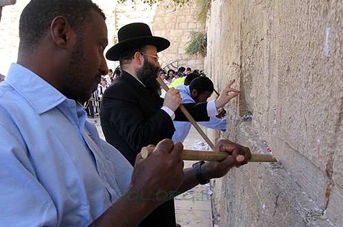 ערב חג: כך פונו רבבות הפתקים מהכותל המערבי ● תיעוד