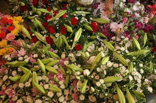 אילו פרחים מותר לקנות בשנת השמיטה?