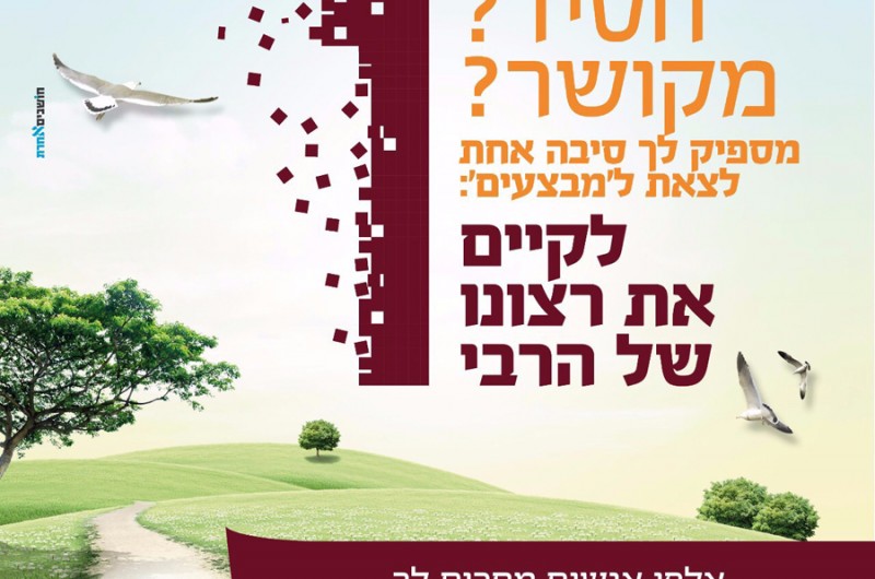 חסידי חב