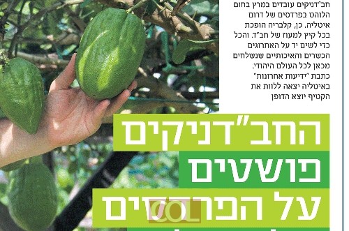 'ידיעות אחרונות': 