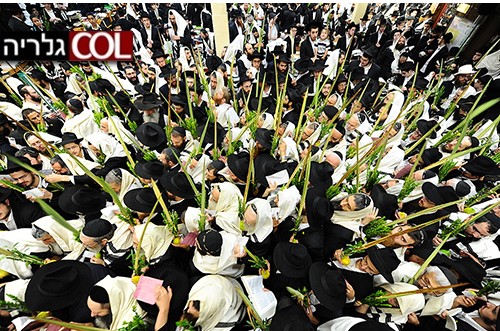 תיעוד ענק ומרהיב: אלפי האורחים מתפללים ב-770 ● מיוחד