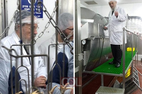 הרב הלפרין ביקר במפעל השחיטה בהשגחת הרב ביסטריצקי