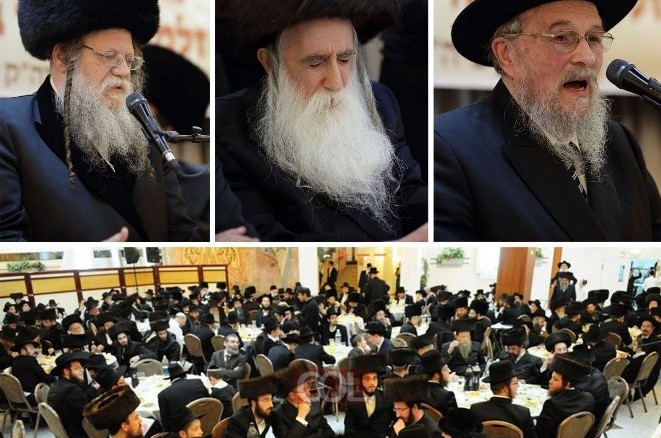צאצאים חדשים ישתתפו לראשונה בהתוועדות השנתית צאצאים חדשים ישתתפו לראשונה בהתוועדות השנתית