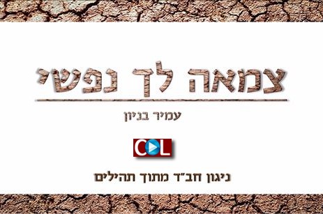 עמיר בניון מגיש: 