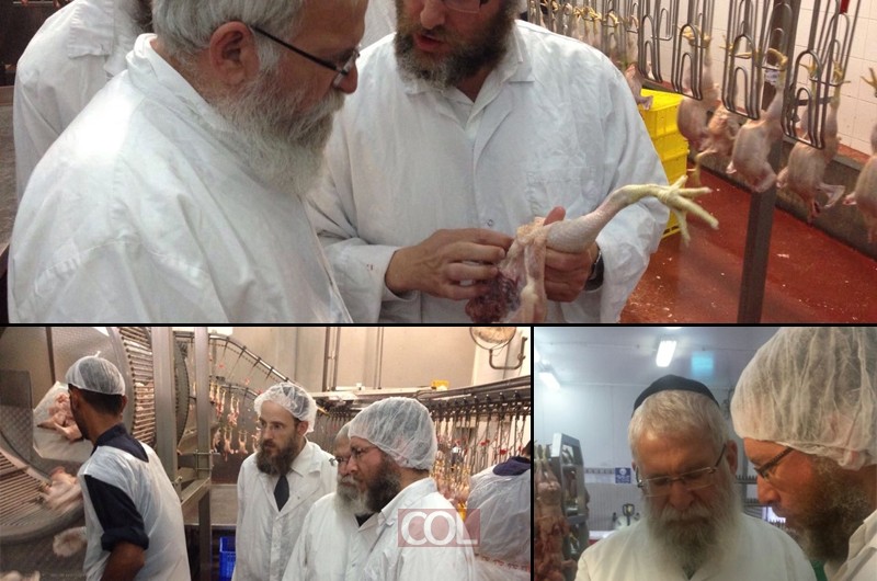 הרב יוחנן גוראריה סייר במפעל עוף ירושלים 