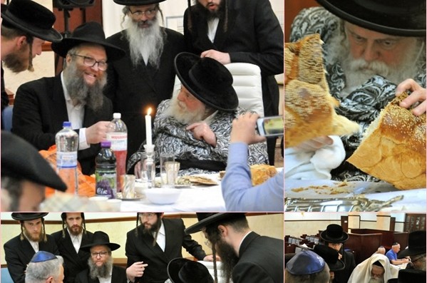 זפרוז'ה: האדמו זפרוז'ה: האדמו