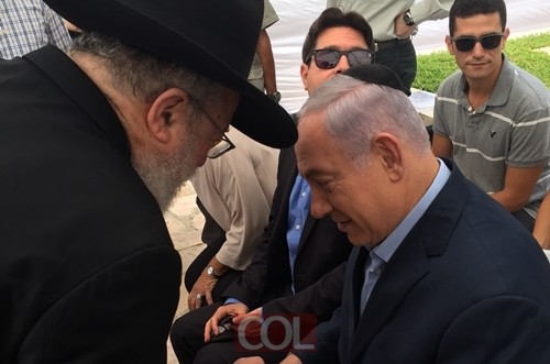 תמונת היום 