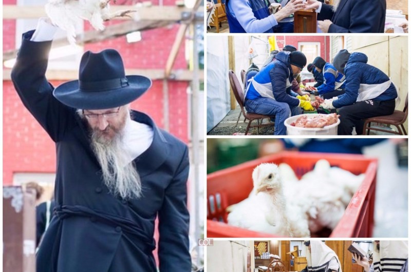 אשמורת הבוקר בבירת רוסיה: כפרות ולעקח במוסקבה