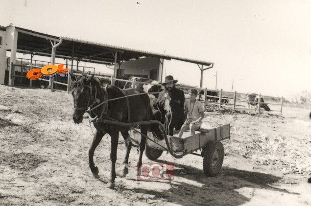 במשעולי הכפר, על סוס ועגלה • היו ימים