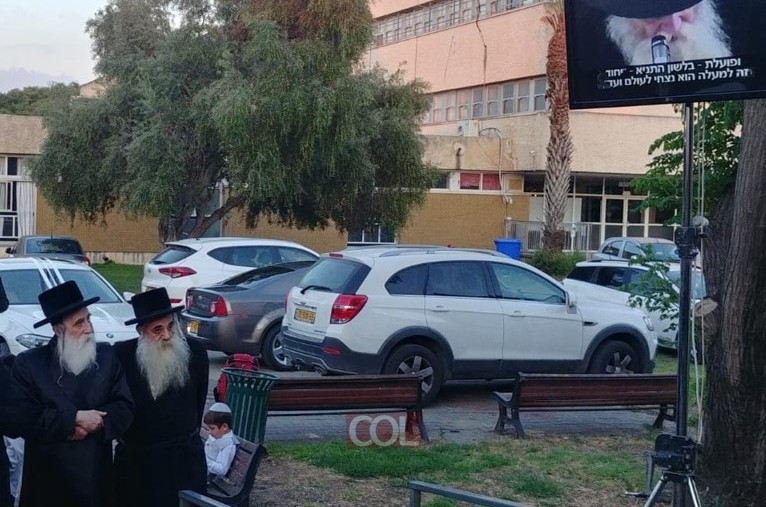 תמונת הלילה • תמונת הלילה •
