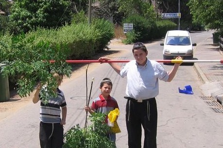 כשהקרלינר התבטא: 