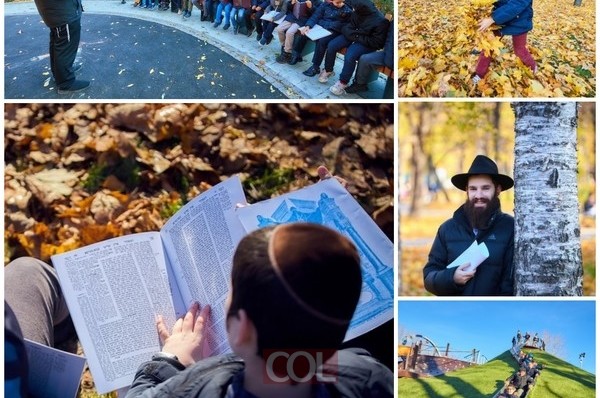 צפו: שלושה פארקים חדשים בשכונה היהודית בבירת רוסיה