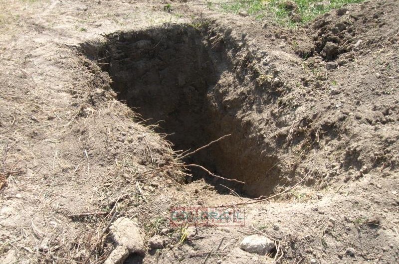 בלארוס: התגלה קבר אחים בו נקברו מאות יהודים שנרצחו בשואה