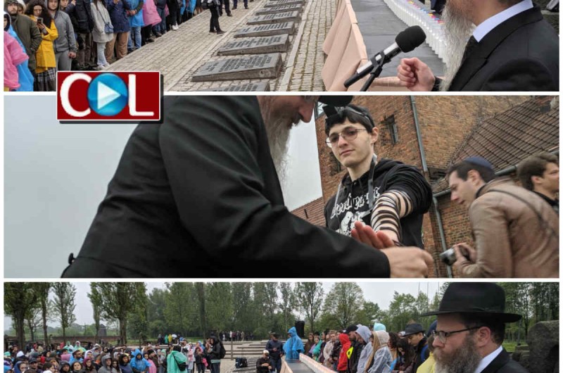 מול מחנות ההשמדה: הנוער היהודי צעד ושר 