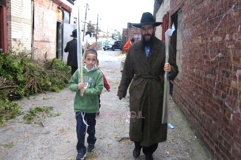 כשר' אברהם פריד ובנו התכוננו לסוכות ברחובות קראון הייטס