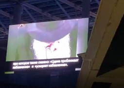 קטע וידאו מברכתו של הרבי לחתנים וכלות מוקרן באיצטדיון הענק בניזני, בחתונת בתם של השלוחים הרב שמעון ורעייתו יעל ברגמן קטע וידאו מברכתו של הרבי לחתנים וכלות מוקרן באיצטדיון הענק בניזני, בחתונת בתם של השלוחים הרב שמעון ורעייתו יעל ברגמן