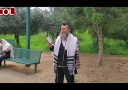 יצאו בחוץ: המשפיע הרב דוד אבא זלמנוב בשיעור שלאחר תפילת שחרית מאווררת בגן משחקים בכפר חב יצאו בחוץ: המשפיע הרב דוד אבא זלמנוב בשיעור שלאחר תפילת שחרית מאווררת בגן משחקים בכפר חב