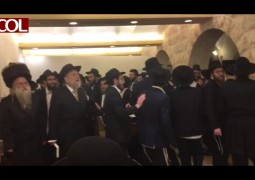 מוצ מוצ
