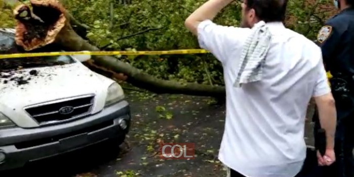 עצים שבורים, נזק לרכוש: סופה טרופית מכה בניו יורק; כך נראית השכונה החב