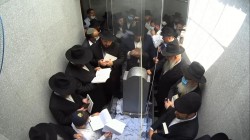 הפ הפ