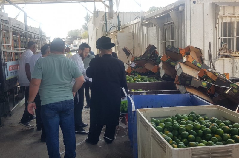 ארגון החסד 'יד ביד' סייע לעיר ביתר בחלוקת טונות פירות הדר