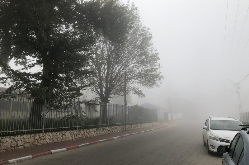 לוד-בערפל: בוקר חורפי ומרהיב עם ערפל כבד וקריר בשכונת חב