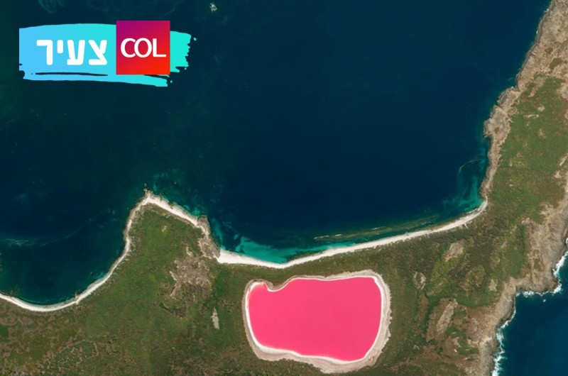 מכת דם? האגם של אוסטרליה שצבוע כל השנה בורוד • תמונות
