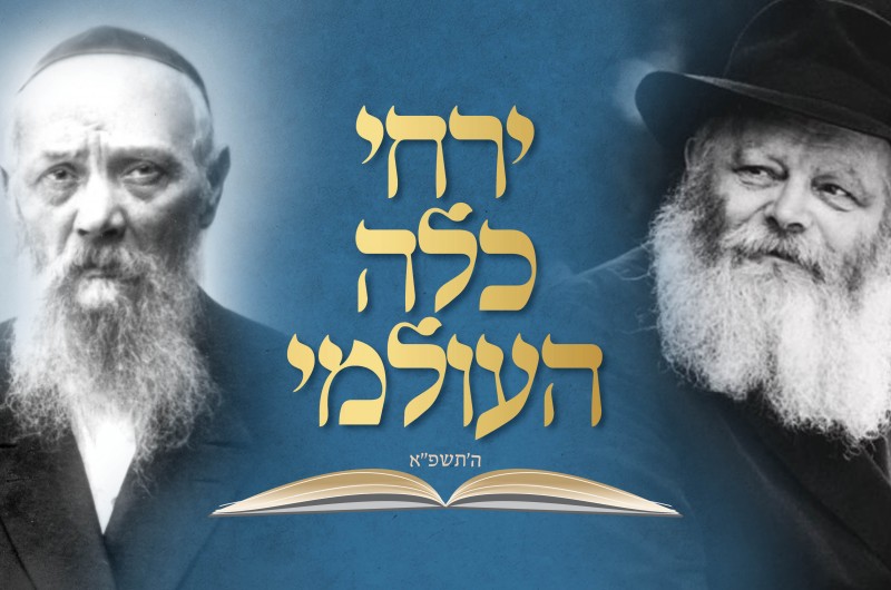 גם השנה: 