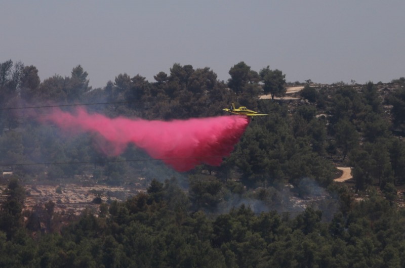 ממדי האסון בזווית העדשה: 52 שעות של אש ב-52 תמונות