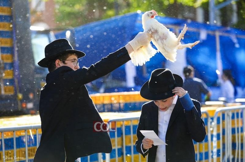 23% ממצביעי הסקר ב-COL יערכו השנה כפרות על כסף