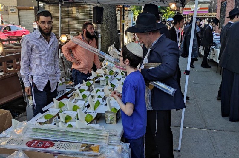 ההכנות לחג הסוכות בשדרת קינגסטון, העמוסה באורחים, בשכונת קראון הייטס. עשרות דוכני ד' מינים פרוסים לאורך השדרה. צפו