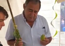 צעירים מנס ציונה התנדבו בפעילות סוכות של בית חב צעירים מנס ציונה התנדבו בפעילות סוכות של בית חב