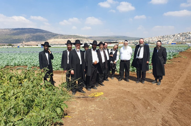 לעמוד מקרוב: ועד השמיטה אירח משלחת נכבדה מרבני חב