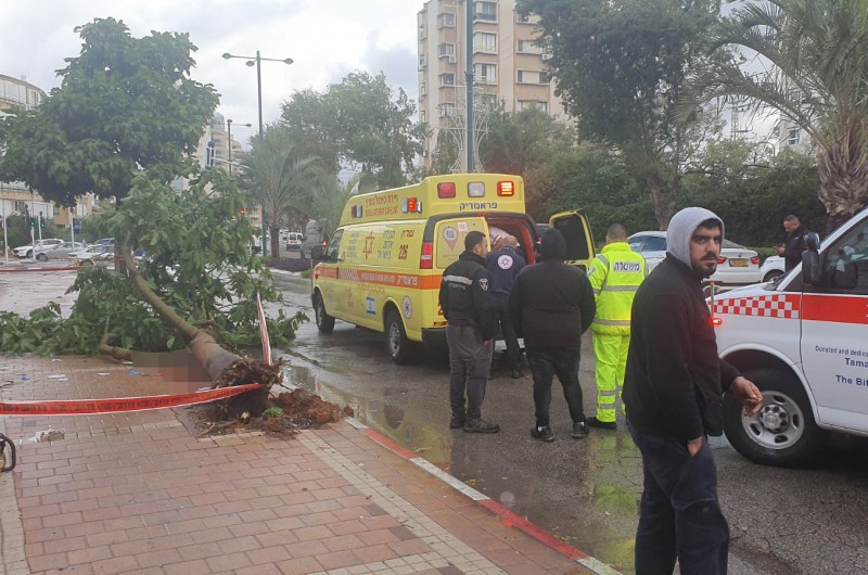 פגעי מזג האוויר: עץ קרס על אדם בנתניה, מצבו אנוש