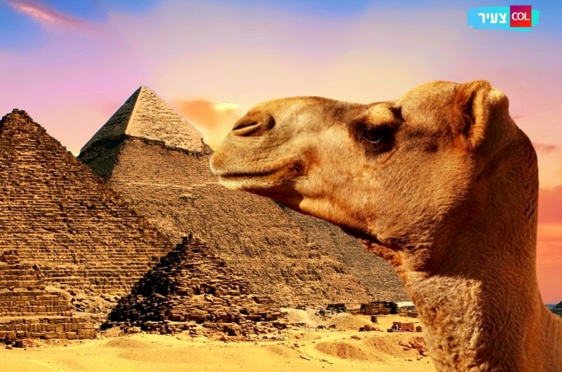 הלכנו לבדוק: מה נשאר בארץ מצרים אחרי שיצאנו ממנה?