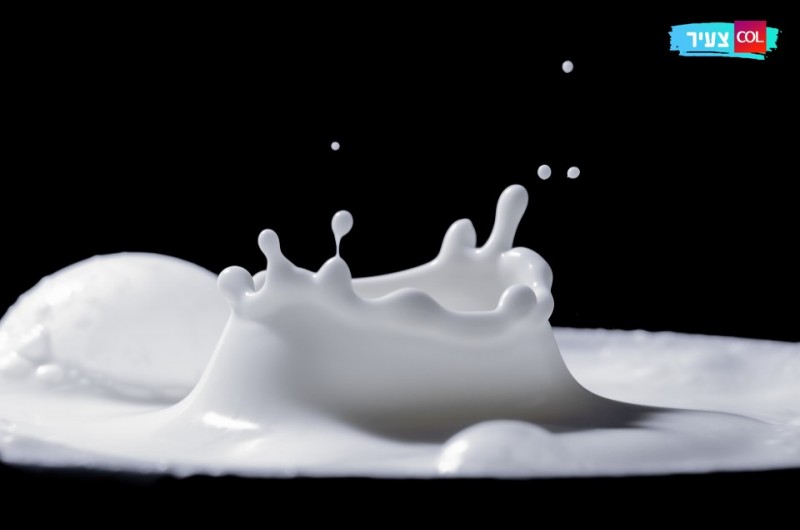 רגע לפני שבועות: כמה עובדות שלא הכרתם על מאכלי חלב