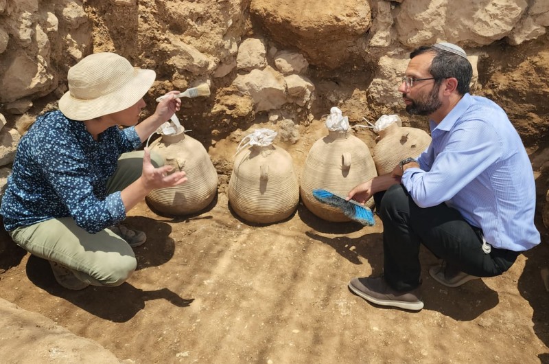 תגלית נדירה בשילה הקדומה בבנימין: חמישה קנקני ענק שלמים בני 2,000 שנה נמצאו בחפירות החדשות. (צילום: דוברות בנימין)