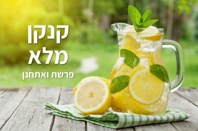  קנקן מלא | טור לפרשת שבוע וצמיחה אישית